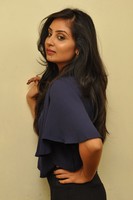 Bhanu Sri Mehra Gallery